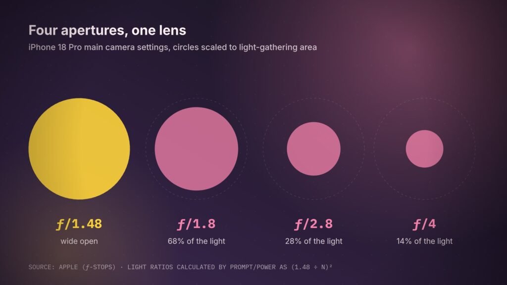 The four aperture settings on the iPhone 18 Pro's main camera, drawn to scale by light-gathering area. At ƒ/4, the lens lets in about one-seventh of the light it does wide open at ƒ/1.48.